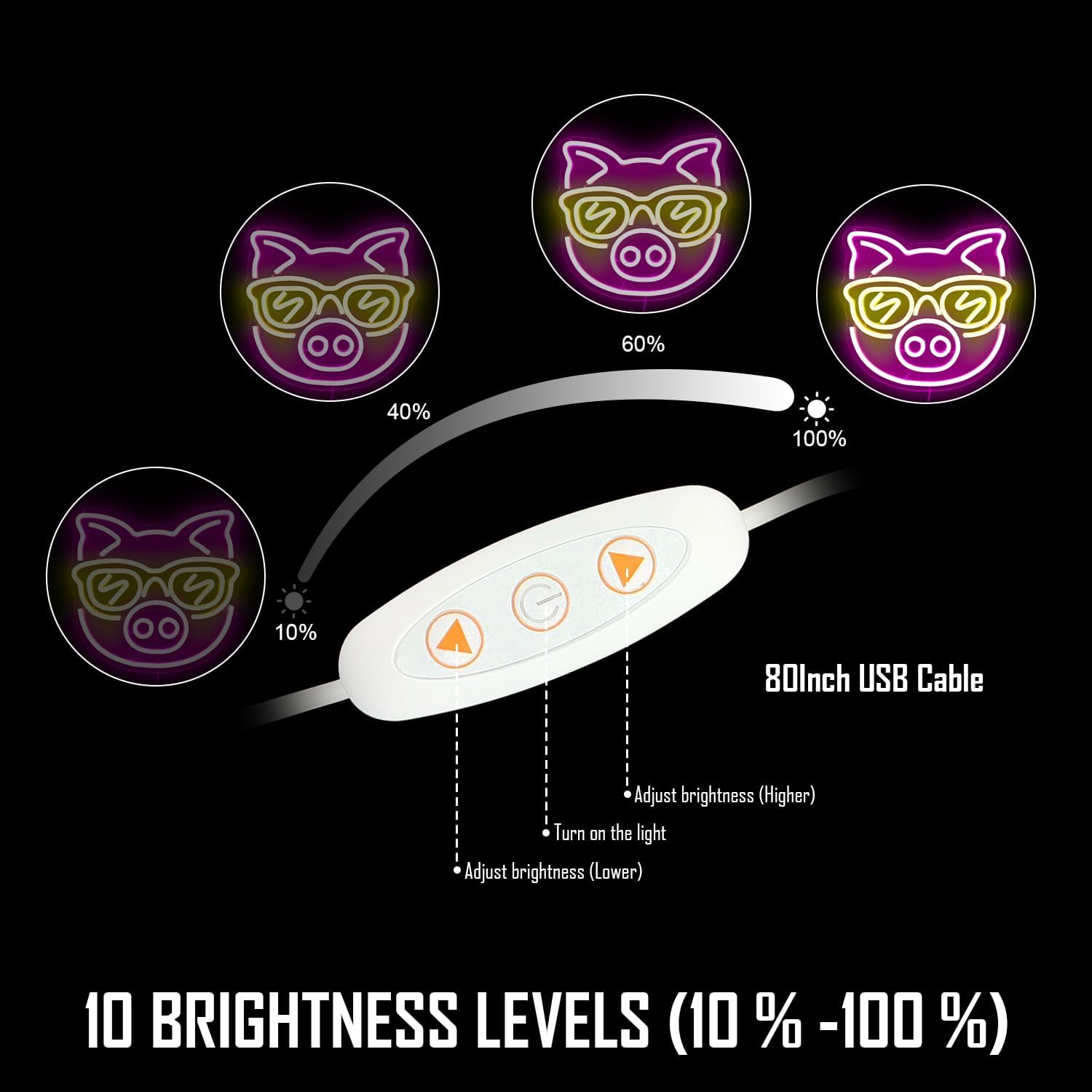 Lampu LED Neon Tanda Babi Mera - Outdoor Lighting Decor Ideas ulasan dan harga